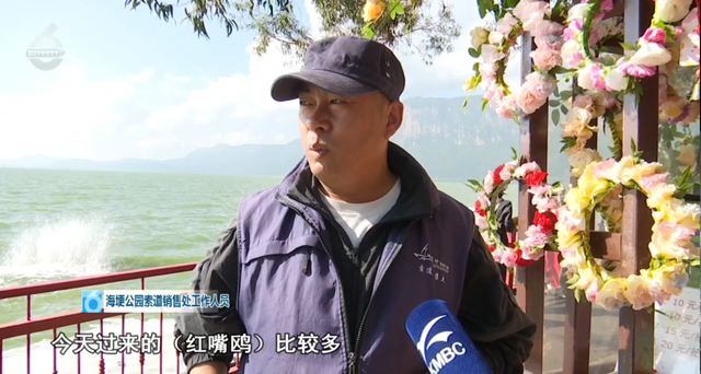 昆明“顶流”，真的来了