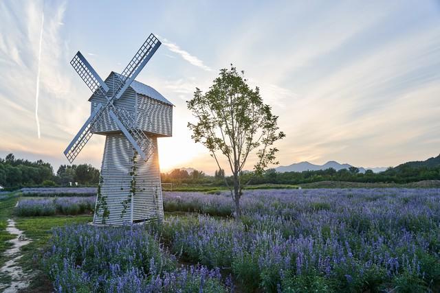 两性关系：年过68岁，不管身体多好，也要注意这5个活细节