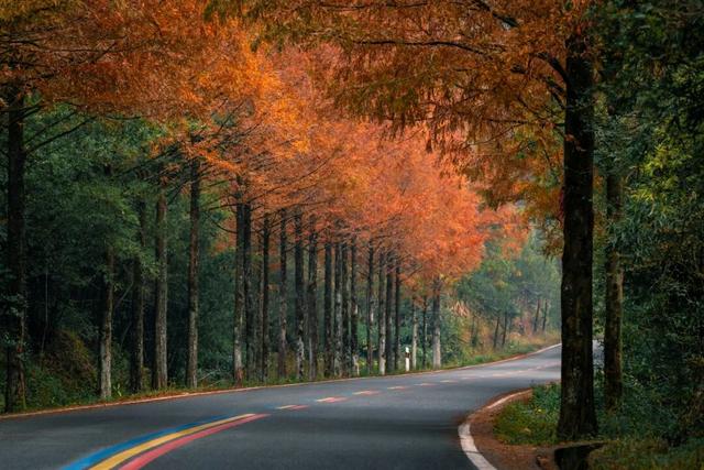 武夷山 | 我就说，这才是过日子~