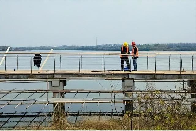 再添亮点！水上景观栈道即将来袭！