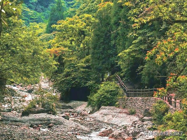 成都大邑爆火彩林，小牛背山、小喀纳斯这里都有，超级惊艳！