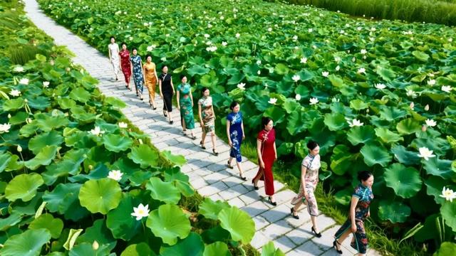 8月4日，旬阳市小河镇荷美生活季文旅活动开启，等你赴约~