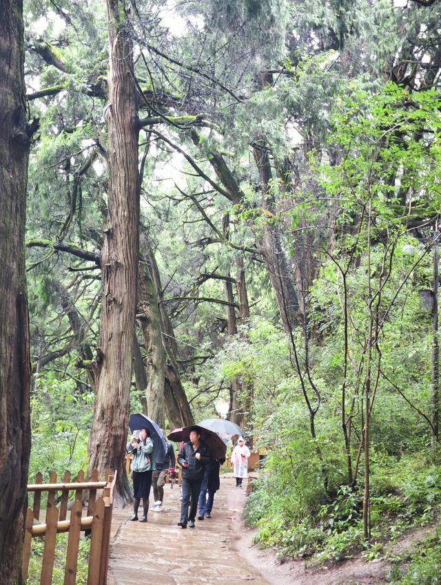 底气从何而来？高质量户外运动，广元首批被纳入目的地建设地！