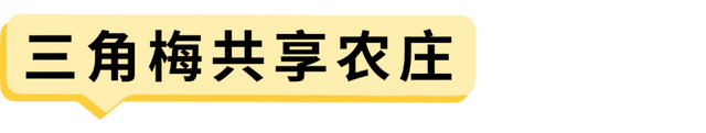 国庆假期海口活动总集→