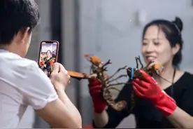 网络主播“转正” 直播电商走出发展新契机图片