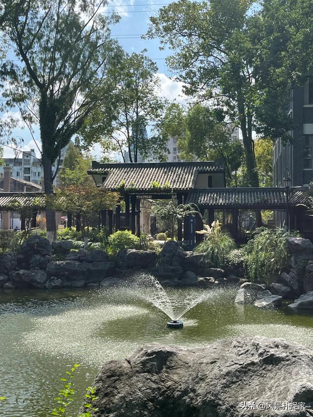 温州墨池公园，超好逛！
