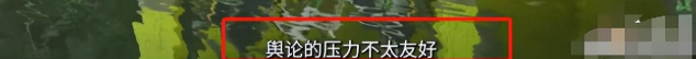 早已领证结婚？和王楚钦地下恋情？4年过去了，陈梦终于迎来正名