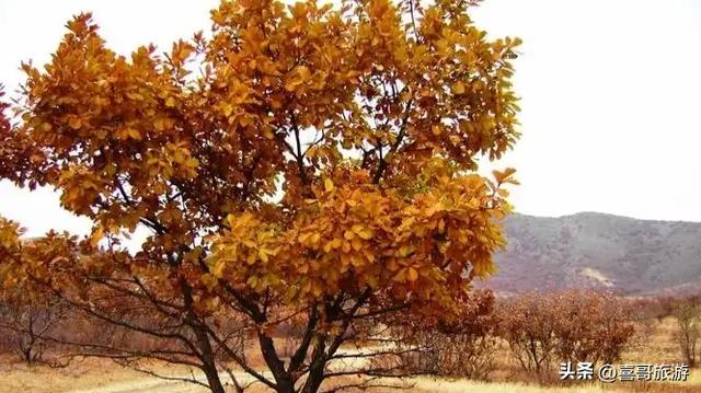 敖牛山行记：吉林西部之巅的四季画廊