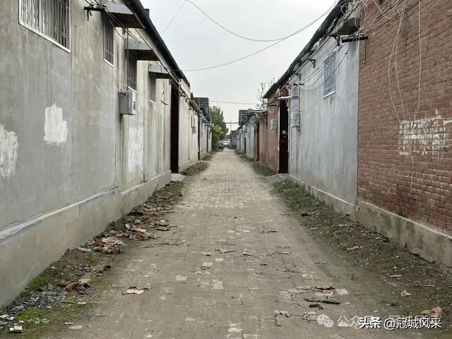 冠县乡韵·桑阿镇轧庄