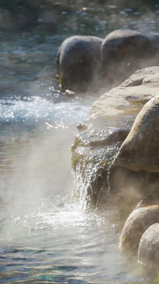 约2.5h直飞，澳门⇌济南即将开航！