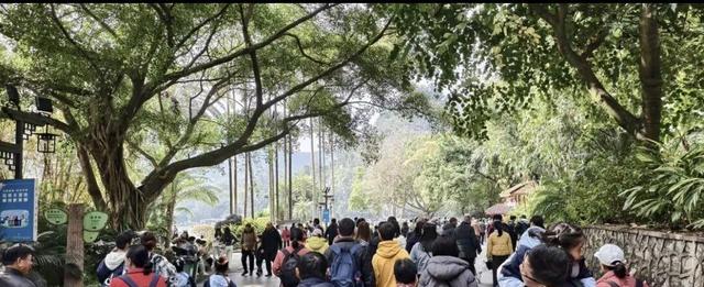 柳州春节“文惠桥”现场：螺蛳粉店挤爆，外地车霸占大街小巷