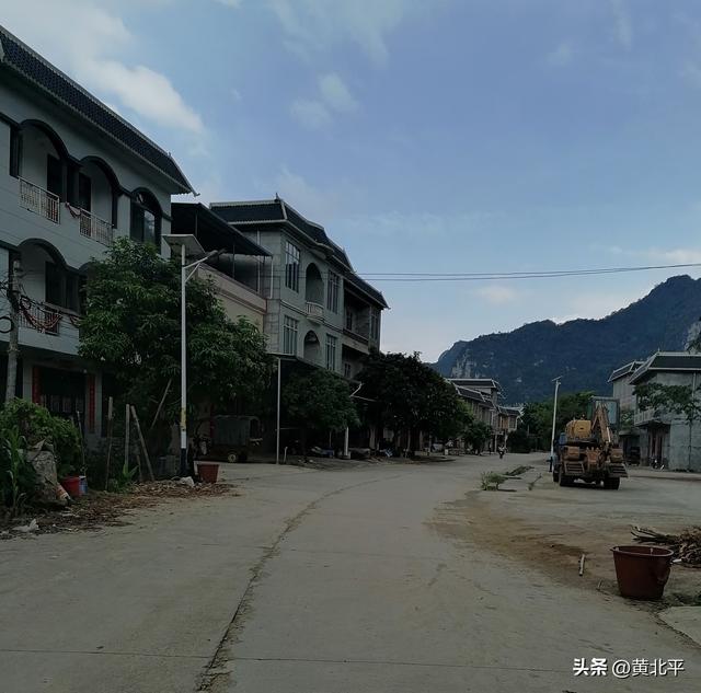 广西崇左市大新县边境线上的小圩，千年枯树能否成为热门打卡地