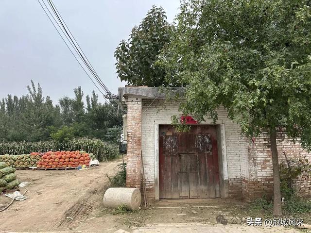 冠县乡韵·桑阿镇野场村