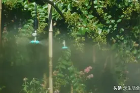 黄鹤楼公园增设纳凉点和雾森系统，为夏日游玩带来清凉图片