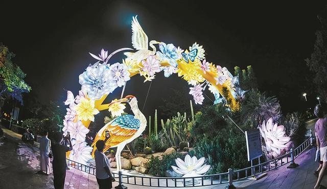 厦门园博苑大型夜游灯会“光影秘境”今晚正式亮灯