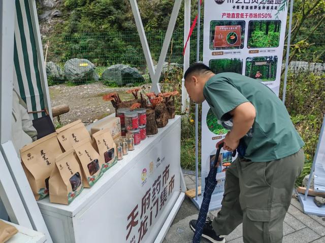 天府药市“进山”、户外文旅“融药”，彭州龙门山镇徒步热催生融合发展新场景