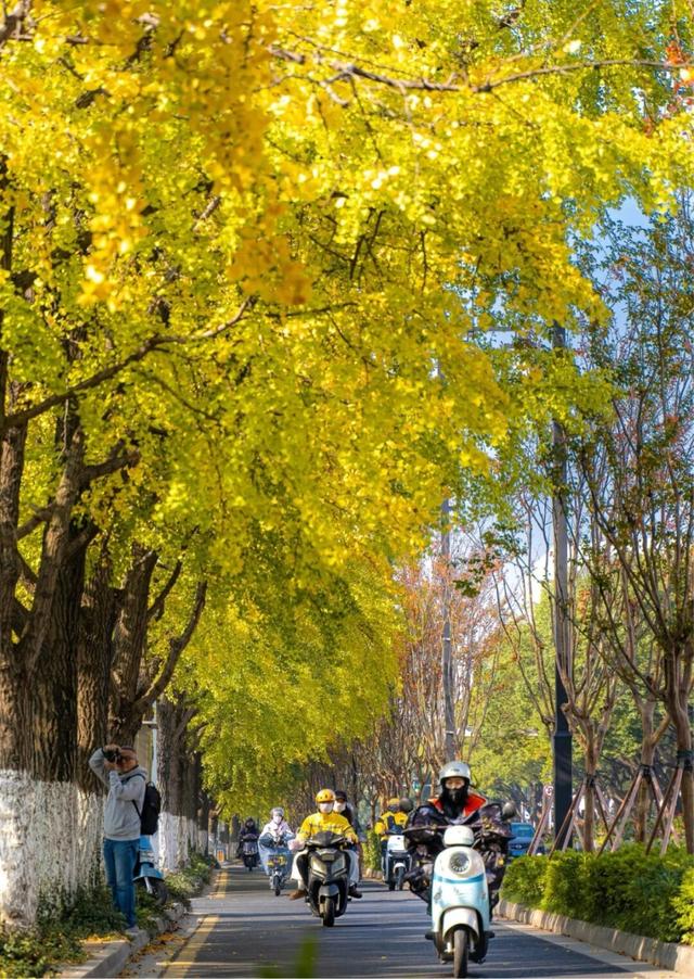 苏州处处的皆景！美！美！美！