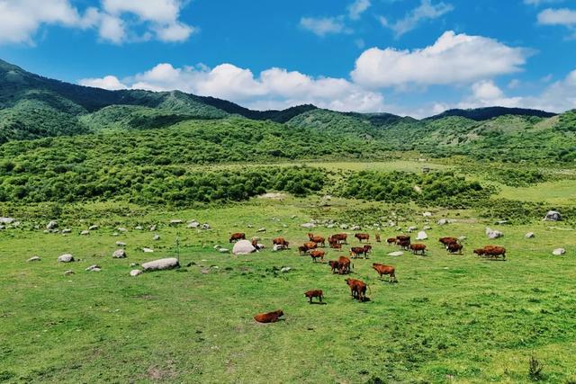 在白松坝，停驻于岁月漫溯山河的刹那