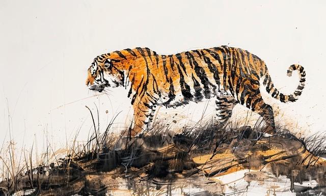 属虎的人，最近千万别去这三个地方！