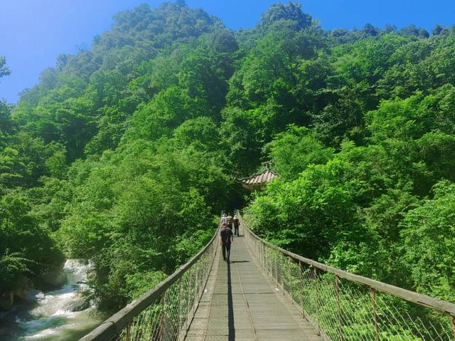 绿意+山林+森呼吸，在黑竹沟景区，慢享夏日山林趣～