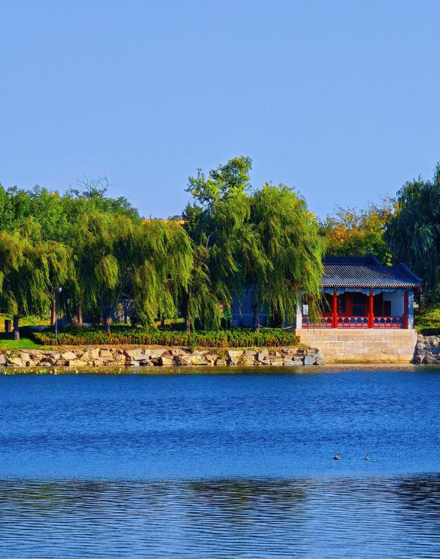 刚从北京大兴回来，毫不客气的说，大兴就是全国郊区城建天花板！