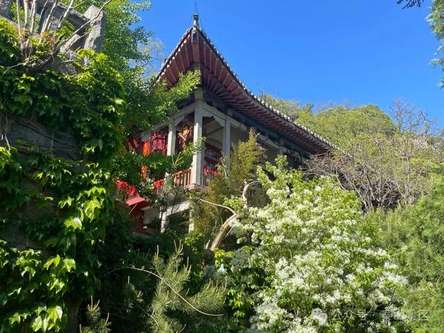 泰山中天门：春末夏初的绮梦之境