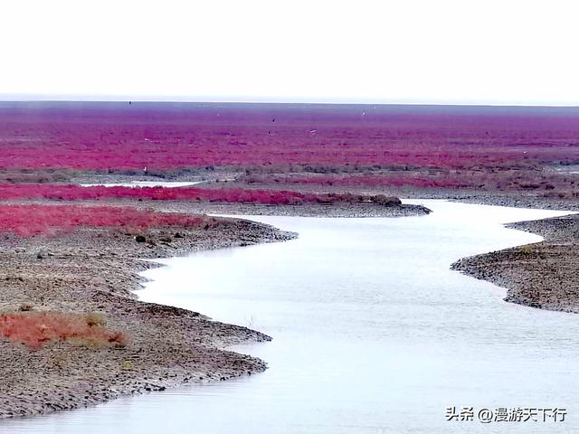 分享一个免费的红海滩，景色一点不差盘锦红海滩，