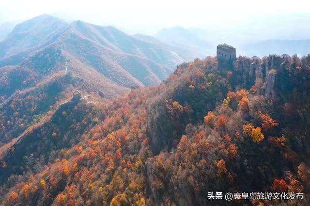 秦皇岛223公里明长城邂逅斑斓秋色,演绎最壮丽的北国风光!