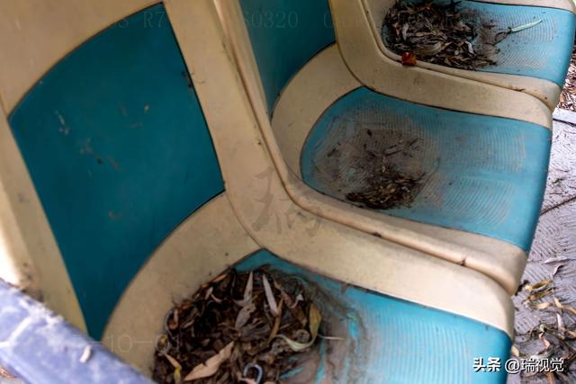 国庆白洋淀：曾载满游客的观光车停摆，扎胎事件 3 个月后余波未平
