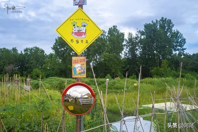 杭州最哗众取宠的荷塘在临平田立方，但营地、宠物和瓜果确实有趣
