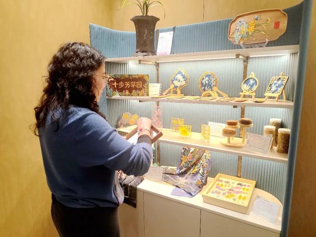 韶关兰花，登陆T3