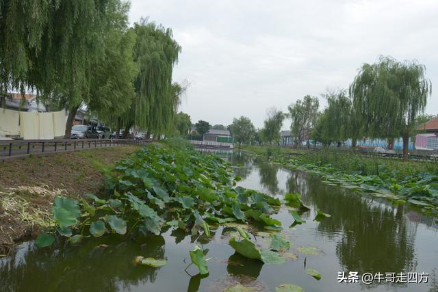 宝坻小辛码头：古渡辛埠藏雅韵，漕声千载忆根源