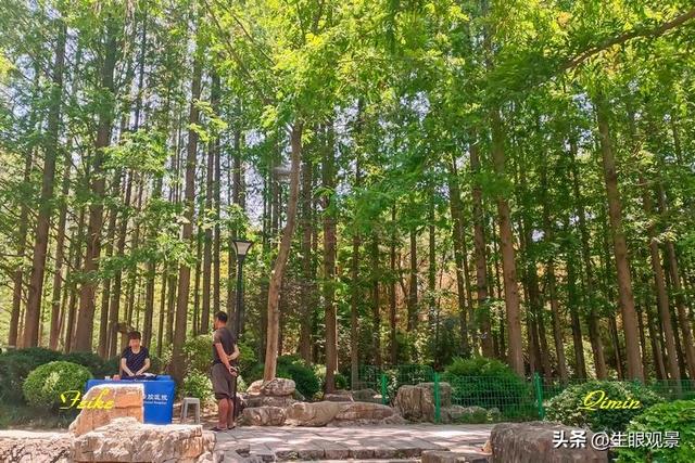 影记 | 青岛李沧文化公园掠影