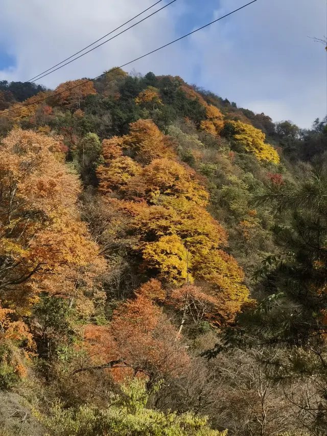 秦岭深处有人家（五）——蜿蜒太子岭