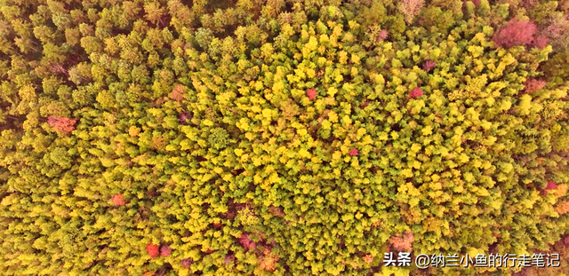 后悔现在才去！这座湖南与贵州交界处的小城，后劲太大了！