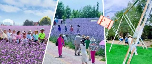 在白银邂逅黄河之美！荷塘寻幽、花海打卡、露营观星，这份文旅攻略请收好