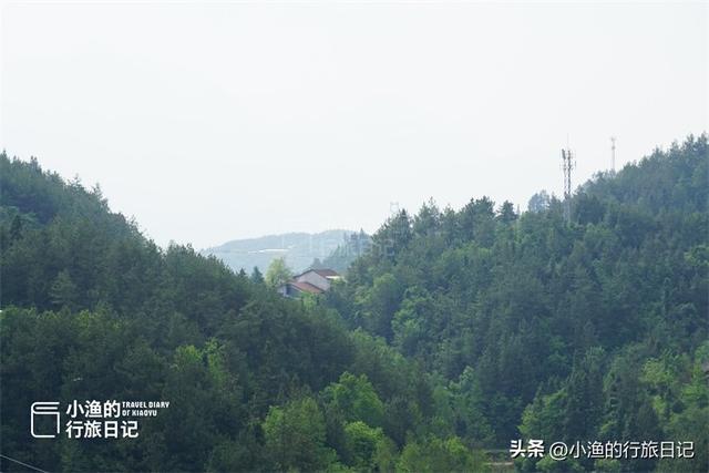 自驾210国道，飙到陕川交界！坠入绿野仙踪的秘境