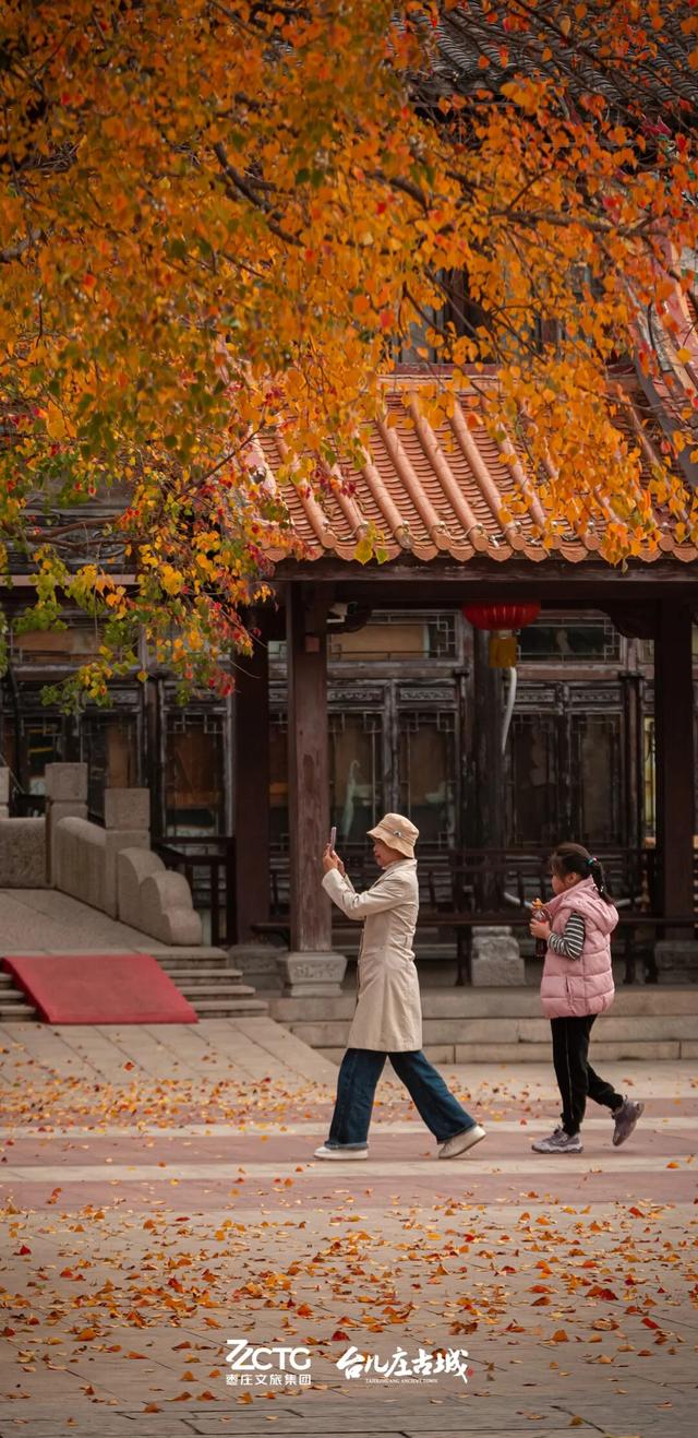 冬韵台儿庄，一键收藏古城的静谧时光