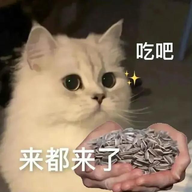 Share｜沙雕表情包11.02