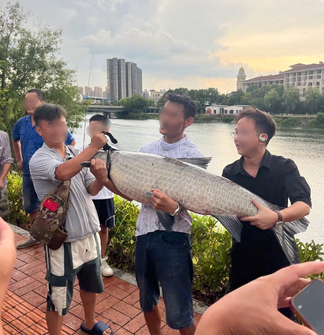 “老祖” 被钓走了？湖南男子碰上大青鱼，冒雨 5小时才钓上岸！