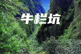 每日认识一款茶——岩茶界天花板“牛栏坑肉桂”图片