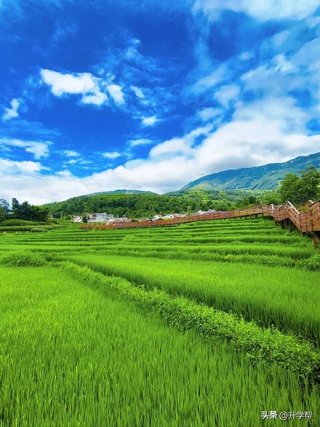 四川的秋！是令人心动的秋！