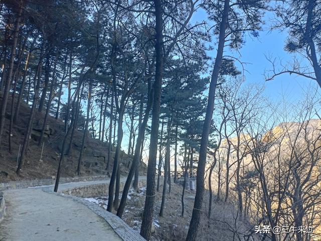 无为在歧路，二十四登泰山3