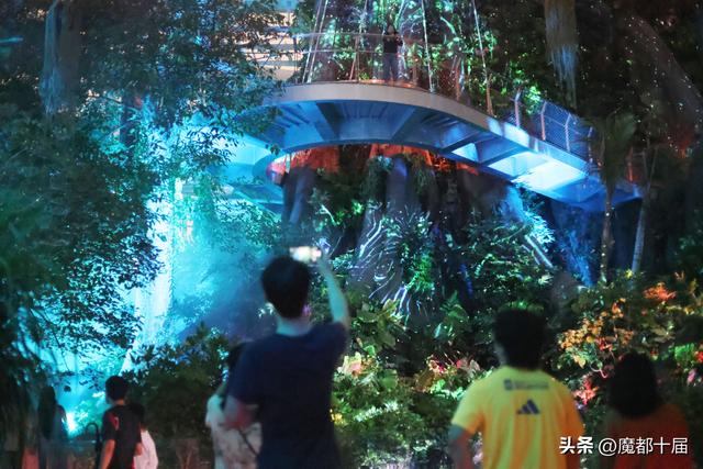温室花园夜游启幕！下雨浇不灭游客热情
