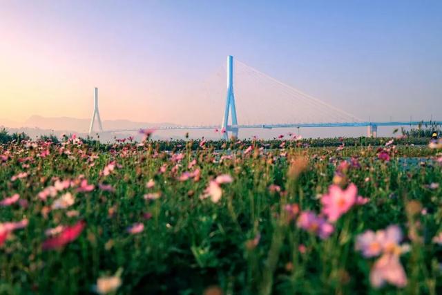 官宣！宜宾又添1个省级旅游度假区！