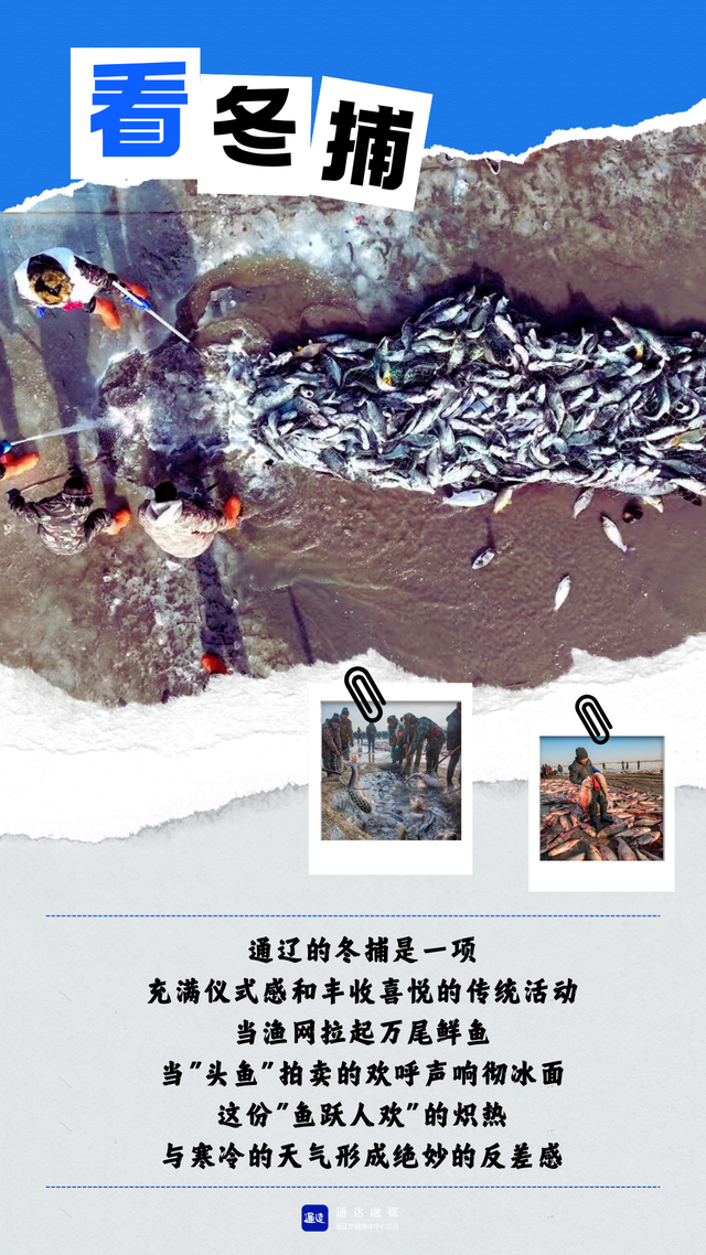 通辽冬日撒欢的N种方式