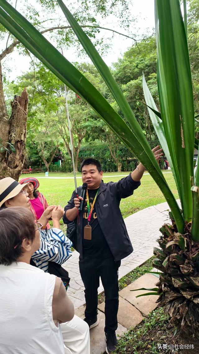 每日一景|西双版纳野象谷风景区