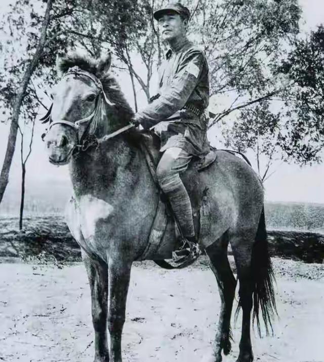 晚年坐在轮椅上的彭总