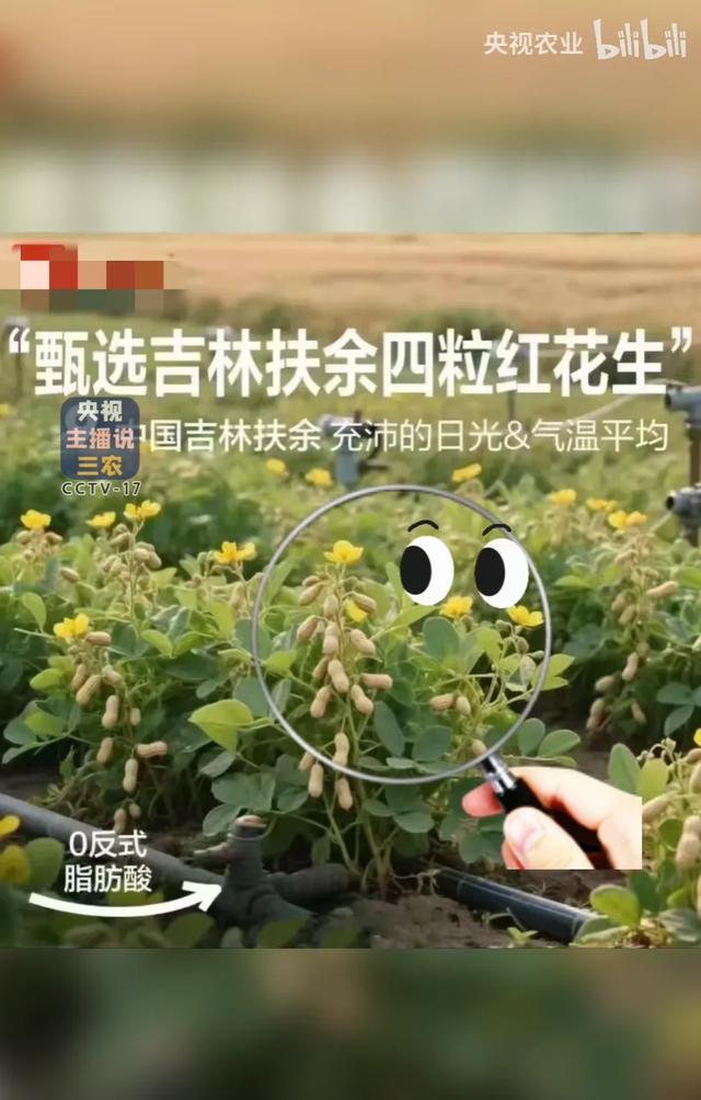 花生上树了？AI 竟然敢这么玩！