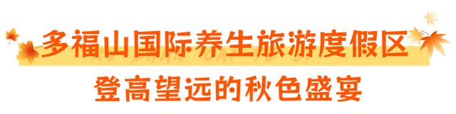 当秋风吻过乳山：一场关于色彩与治愈的漫步指南